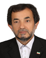 علی زنجانی‌حسنلوئی