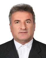 رضا حاجی‌پور